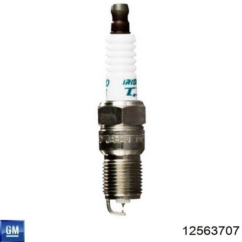 Holden Chev LS1 5.7L Platinum Spark Plug Genuine GM # 12563707
