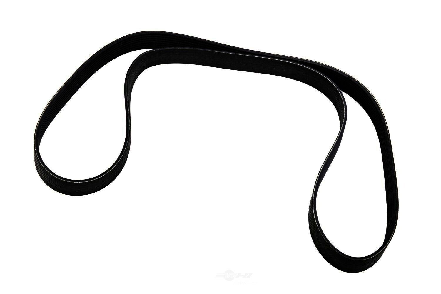 HOLDEN HSV VF LSA ENGINE GENUINE SUPERCHARGER BELT  # 12676726