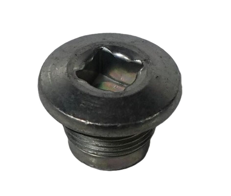 HSV VF CLUBSPORT GTS LSA ENGINE DIFF DRAIN PLUG # 55573646