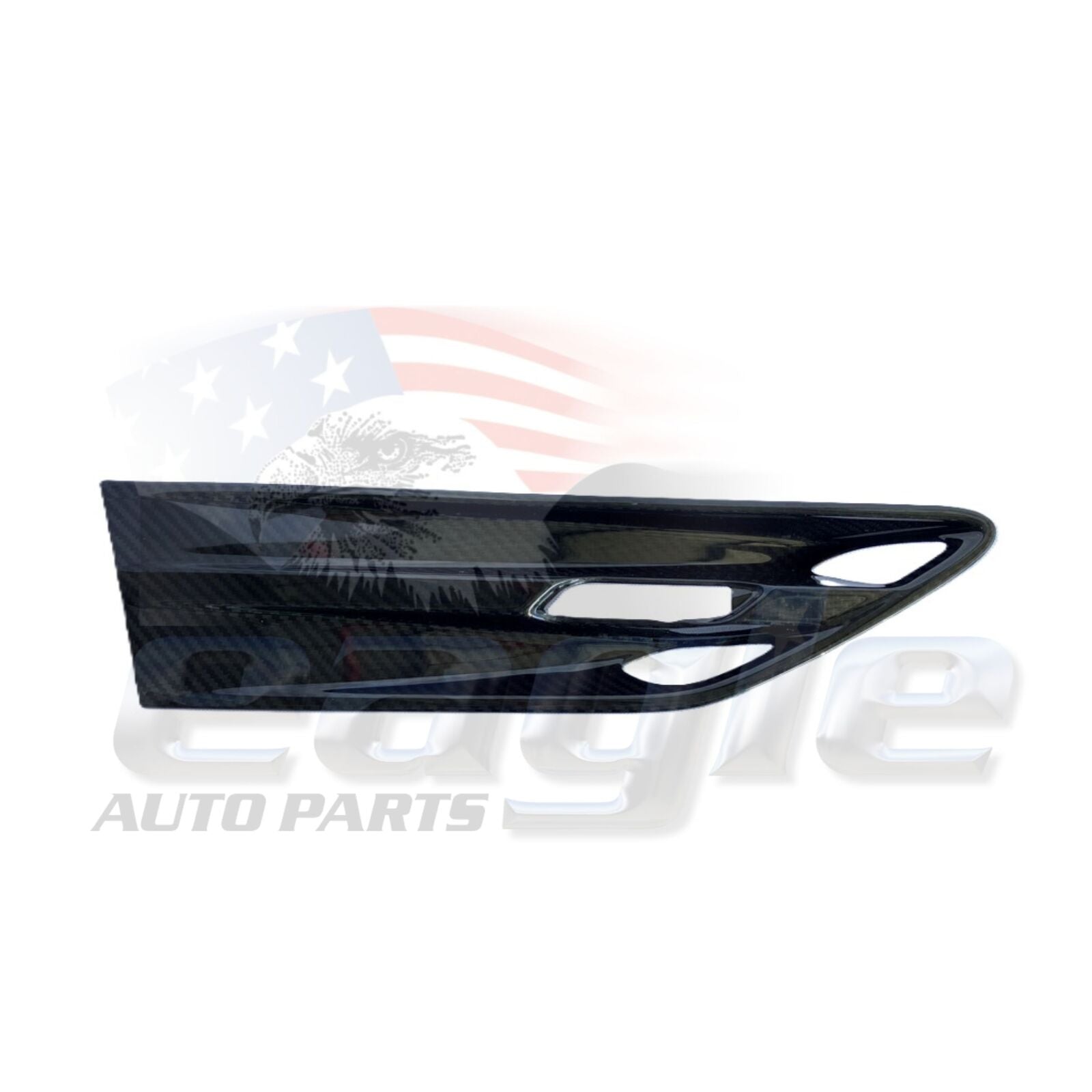 HSV VF GTSR W1 RIGHT HAND FRONT GUARD CARBON FIBRE FLUTE # B08-160702